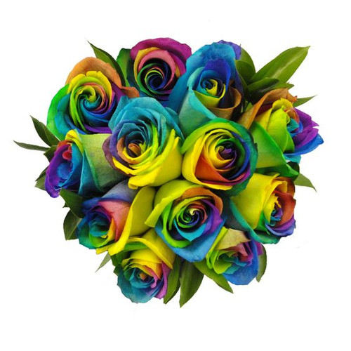 Surprisingly colorful roses come with multicolored blooms in shades of blue, yellow and pink. Surprisingly colorful roses come with multicolored blooms in shades of blue, yellow and pink.