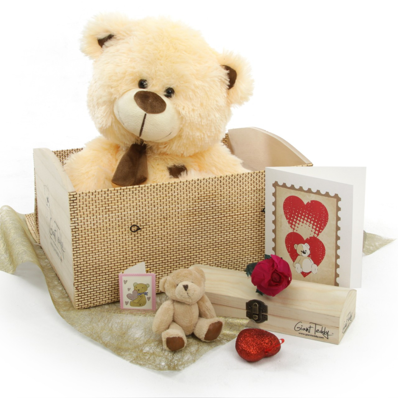 Love Doctor Bear Hug Care Package featuring 20 BooBoo Love Doctor Bear Hug Care Package featuring 20 BooBoo