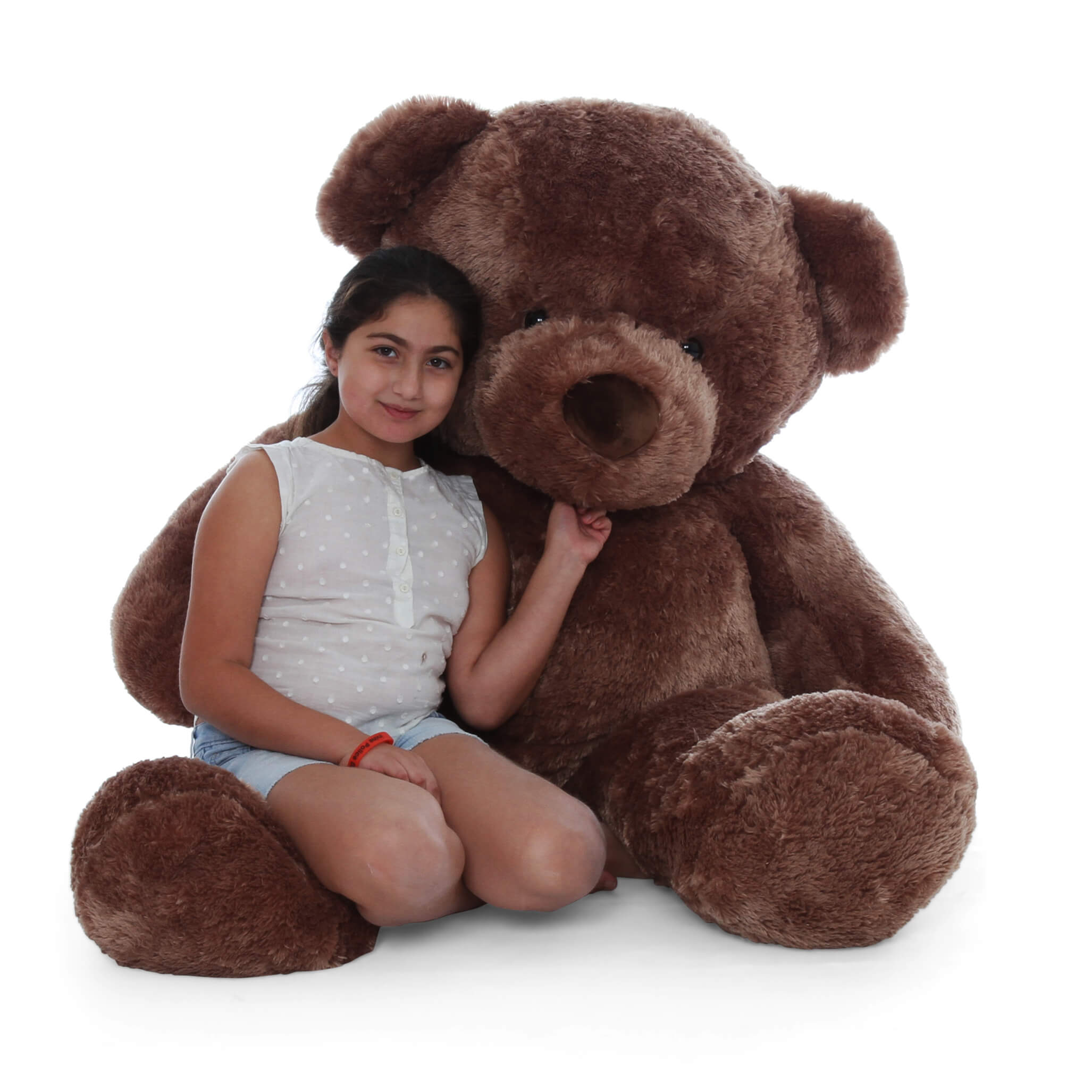 big brown teddy bear