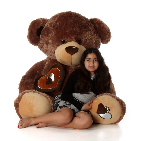 Big Brown Teddy Bear