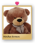6-foot-life-size-teddy-bear-giant-mocha-brown-plush-teddy-bear-sunny-cuddles-close-up-09.png