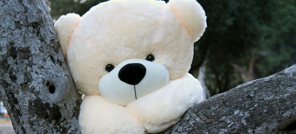 best-sellers-in-5-foot-big-teddy-bears-cozy-cuddles-1.jpg