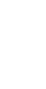 White triangle right arrow