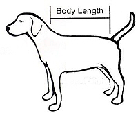 dogsizinglength-200.jpg