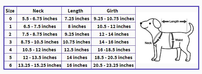 Ragdoll Size Chart