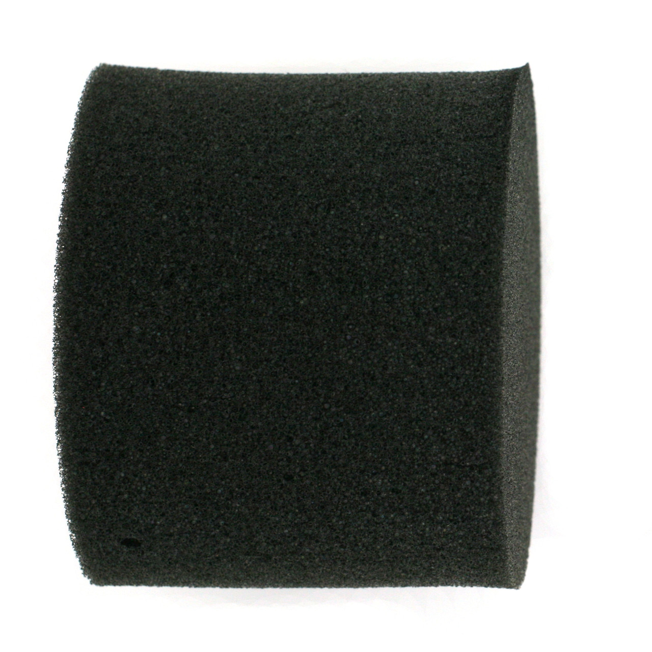 Foam Watch Cushion Black Watch Pillow TechSwiss