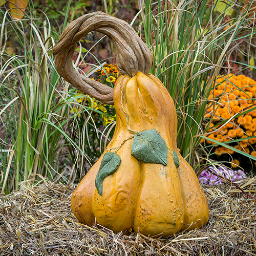 Autumn Gourd / Pumpkin