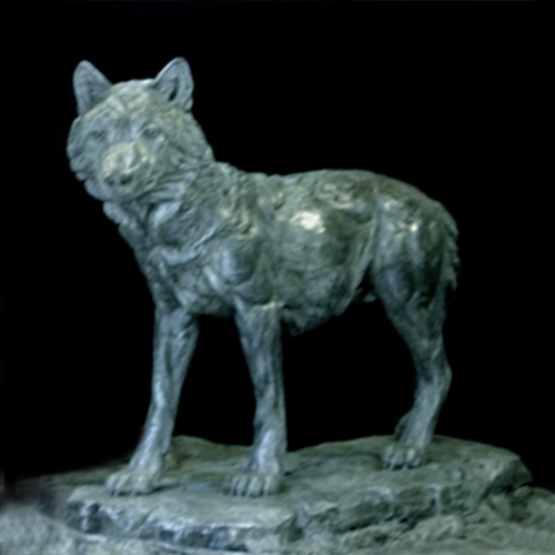 Stalking Wolf