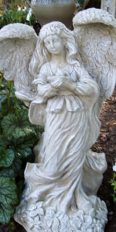 Abbey Angel