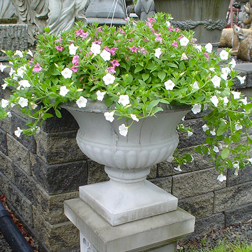 Gloria Urn