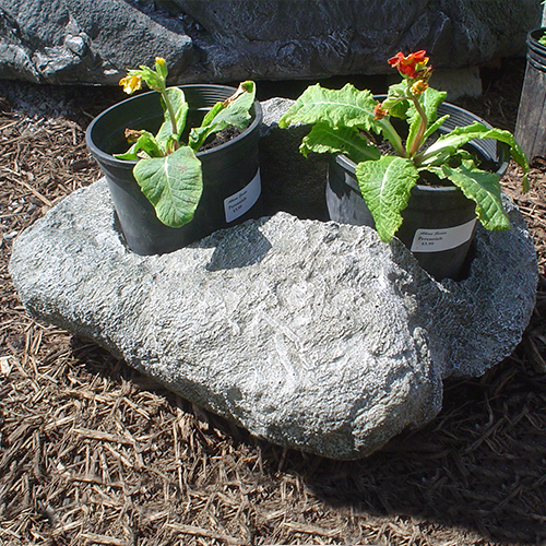 Large Rock Planter
