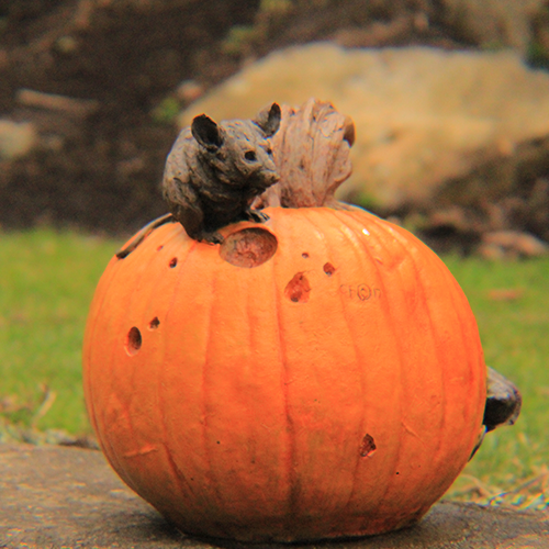 Mickey Mo Pumpkin