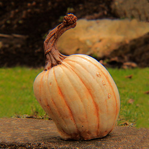 Why Not Pumpkin