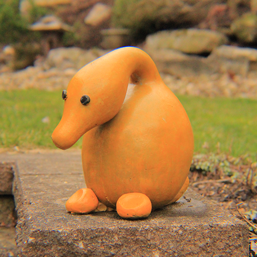 Sitting Duck Gourd