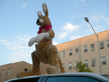 American Made Giant Stuffed Kangaroo 42 Inches Tall Big Plush Animal Soft Made in the USA America American Made Giant Stuffed Kangaroo 42 Inches Tall Big Plush Animal Soft Made in the USA America