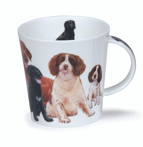 Cairngorm Dogs & Puppies Spaniel Cairngorm Dogs & Puppies Spaniel