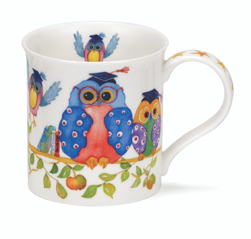 Bute Wise Owls Mortar Boards Bute Wise Owls Mortar Boards