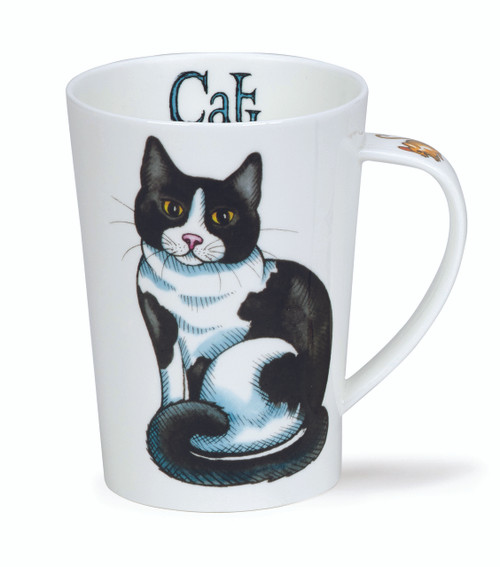 Argyll Cat Argyll Cat