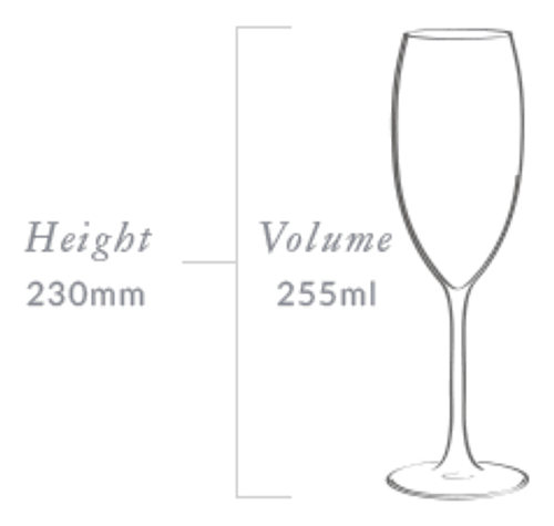 Plumm Vintage Crystal SPARKLING Wine Glass (Twin Pack) Plumm Vintage Crystal SPARKLING Wine Glass (Twin Pack)
