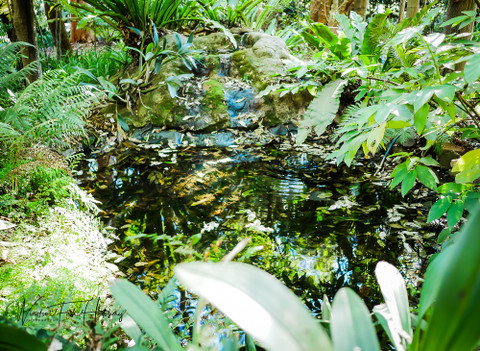10 POND TIPS TO AVOID DISASTER YOU SHOULD DO NOW!!!