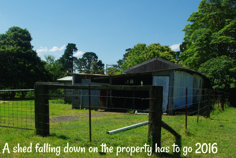 31-dec-a-shed-falling-down-on-the-property-has-to-go-2016.jpg