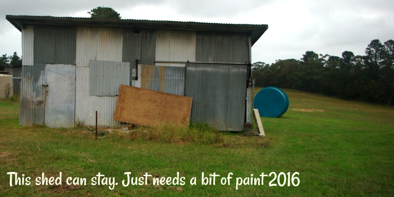 31-dec-this-shed-can-stay-just-needs-a-bit-of-paint-2016.jpg