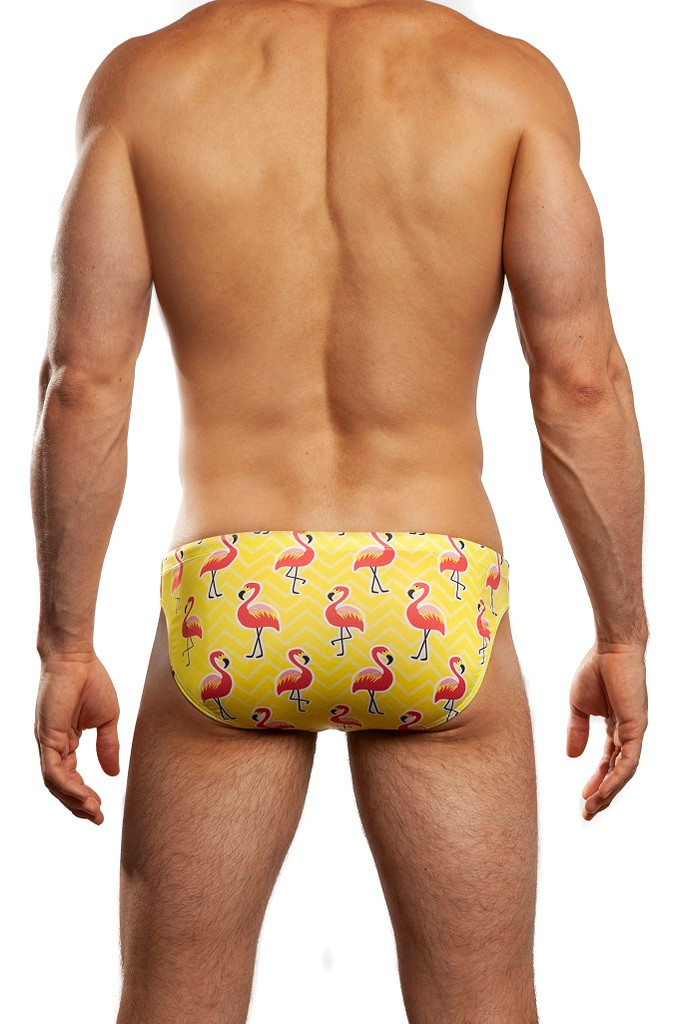 Flamingo 1" Swim Brief