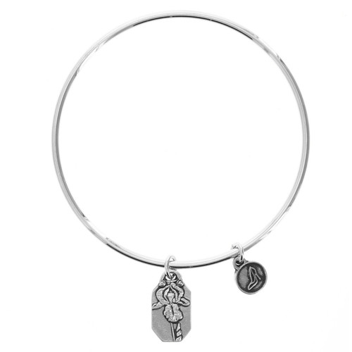 Iris Faith Bangle Bracelet Iris Faith Bangle Bracelet