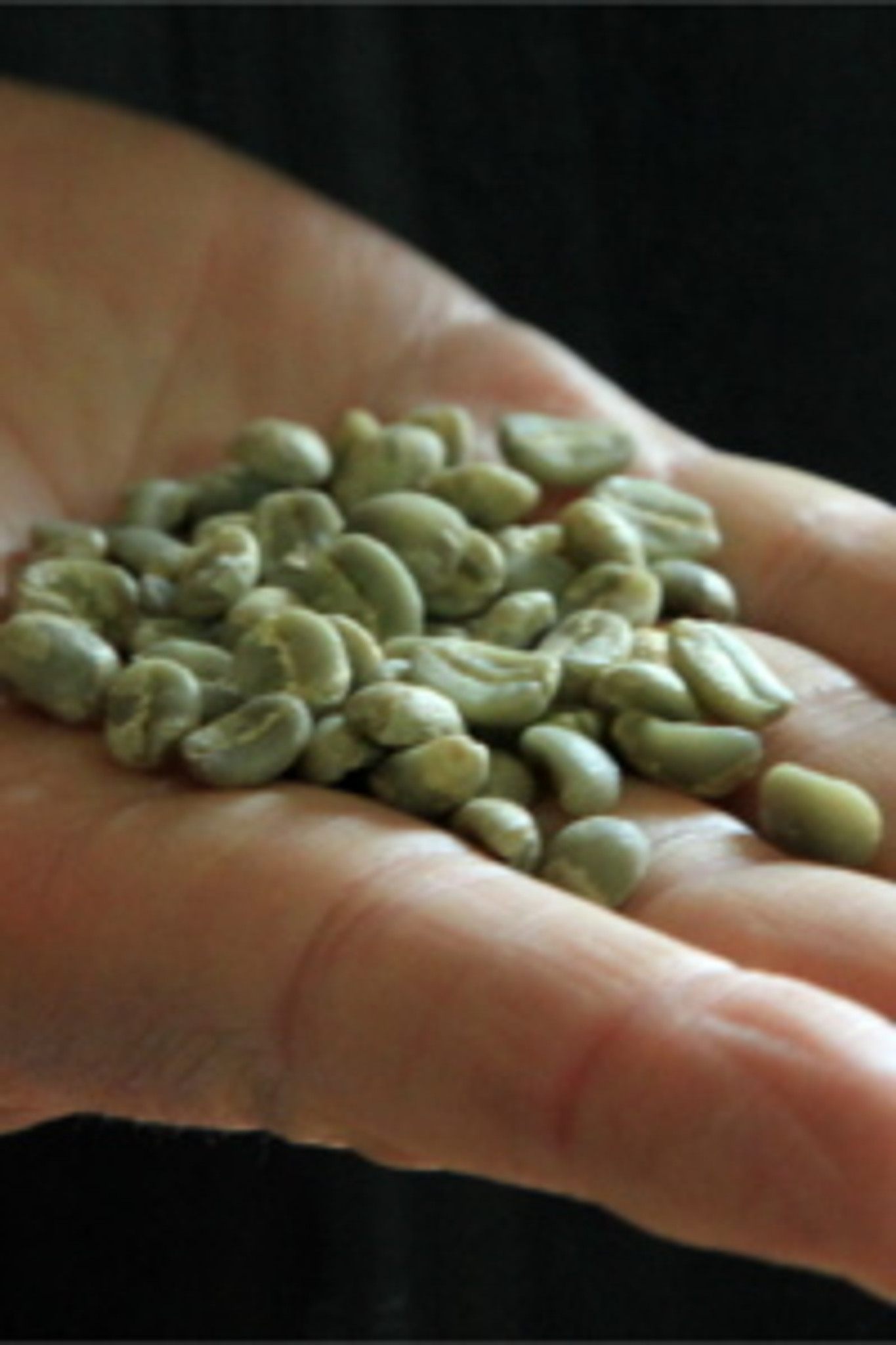 sumatra green coffee beans