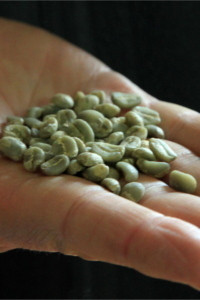 Decaffeinated Fair Trade Organic Green Coffee Beans Sweetwater