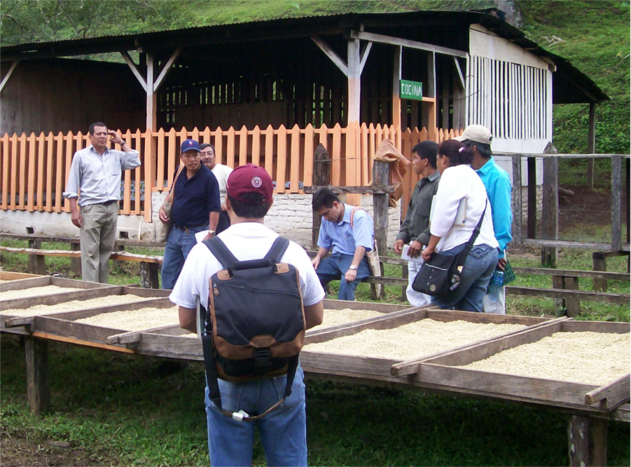 Drying Tables In Nicaragua