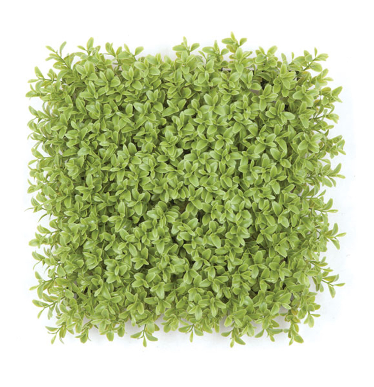 10" Plastic Boxwood Mat Quality Artificial Boxwood Mats Wholesale