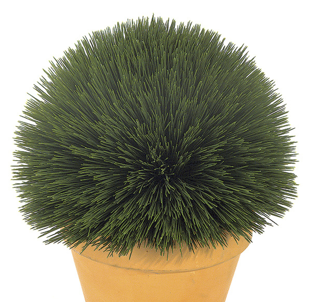 40 Wheat Grass Ball Decorative Faux Wheat Grass Balls Wholesale Adorable Decorative Grass Balls 40 Wheat Grass Ball Decorative Faux Wheat Grass Balls Wholesale Adorable Decorative Grass Balls
