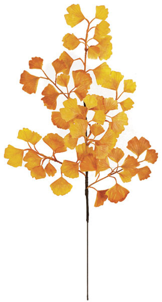 27" Ginkgo Branch Artificial Ginkgo Branches Wholesale at Autograph