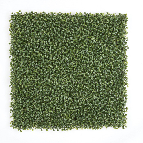 A-135460
20" x 20" Boxwood Mat
1" Height
Tutone Green A-135460
20" x 20" Boxwood Mat
1" Height
Tutone Green