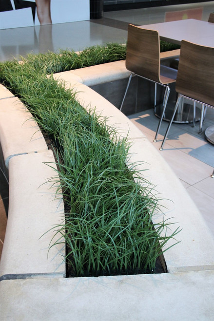20" Green Meadow Grass Installed 20" Green Meadow Grass Installed