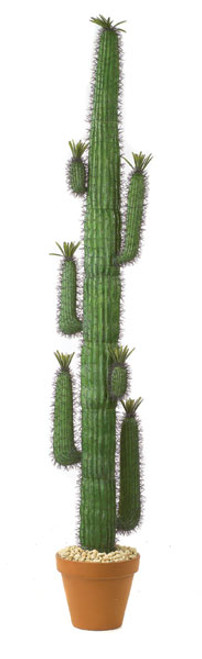 8' Plastic Saguaro Cactus Plant 8' Plastic Saguaro Cactus Plant