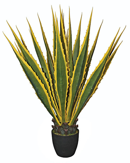 Potted Agave Plant Green/Yellow Potted Agave Plant Green/Yellow