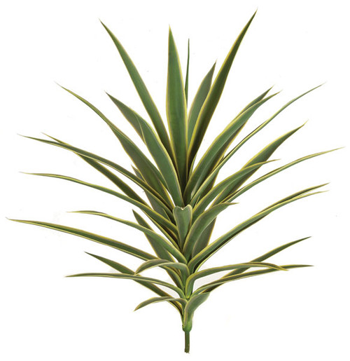 AUV-102105 - Green with Yellow Edge
30" Plastic Yucca Plant -
Limited UV Protection AUV-102105 - Green with Yellow Edge
30" Plastic Yucca Plant -
Limited UV Protection