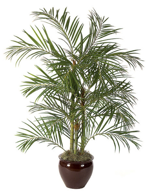 6' Artificial Areca Palm Tree - Regular or IFR Foliage 6' Artificial Areca Palm Tree - Regular or IFR Foliage