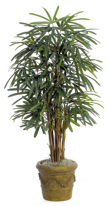 5' Lady Palm Tree
Decorative Planter Sold Separately 5' Lady Palm Tree
Decorative Planter Sold Separately