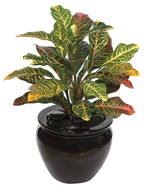 P-50740
20" Croton Bush
Decorative Pot Sold Separately P-50740
20" Croton Bush
Decorative Pot Sold Separately