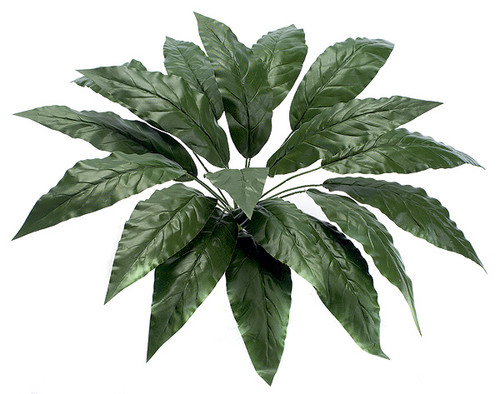 PR-141
24" Spathiphyllum Plant PR-141
24" Spathiphyllum Plant