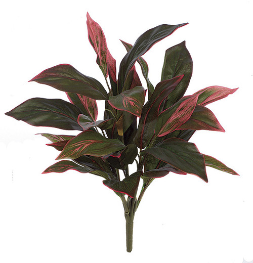 P-50750
20" Cordyline Plant
Fuchsia Red/Green P-50750
20" Cordyline Plant
Fuchsia Red/Green