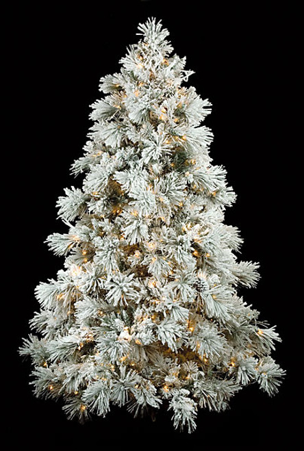 C-70424
7.5' Heavy Flocked Long Needle Pine Tree
Full Size C-70424
7.5' Heavy Flocked Long Needle Pine Tree
Full Size