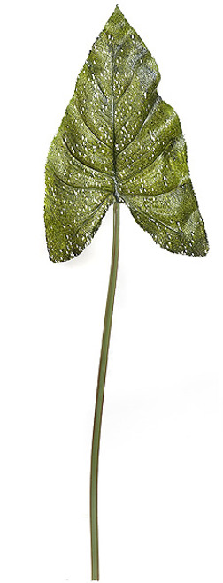 36 Inch Elephant Ear Spray