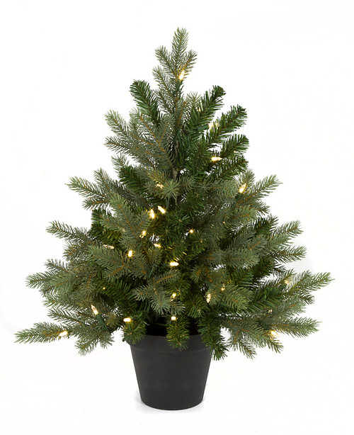 C-171704
36" Wilshire Spruce Tree
with Pot C-171704
36" Wilshire Spruce Tree
with Pot