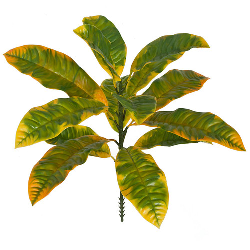 A-184010
20" Outdoor Croton Plant
Green/Yellow Mix A-184010
20" Outdoor Croton Plant
Green/Yellow Mix