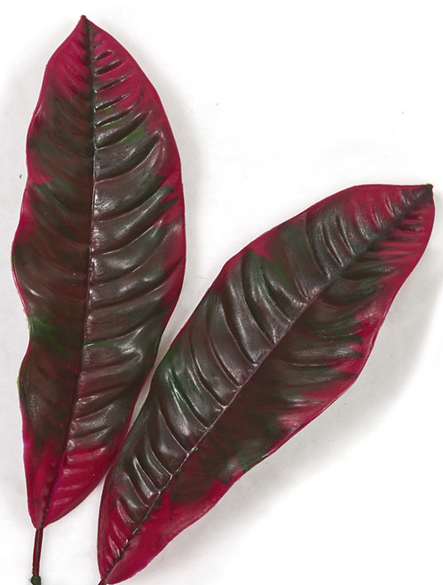 A-184025
34" Outdoor Croton Bush
Mixed Red and Green A-184025
34" Outdoor Croton Bush
Mixed Red and Green