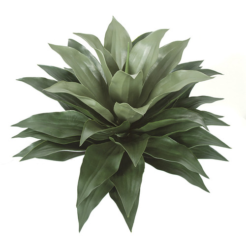 34 Inch Large Outdoor Agave Plant